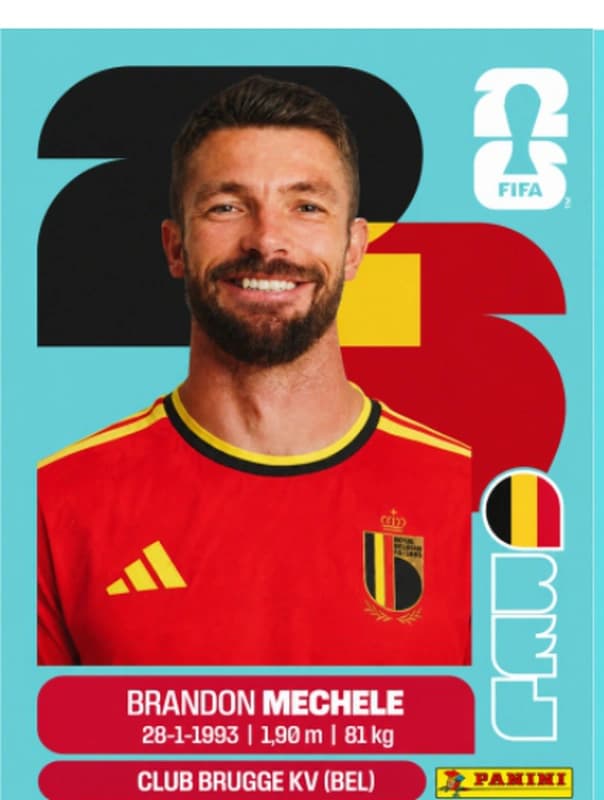Postal BEL6 Brandon Mechele