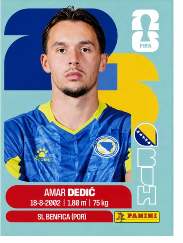 Postal BIH3 Amar Dedic