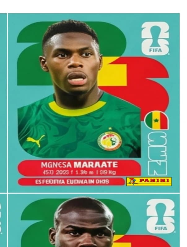 Postal SEN4 Moussa Niakhate