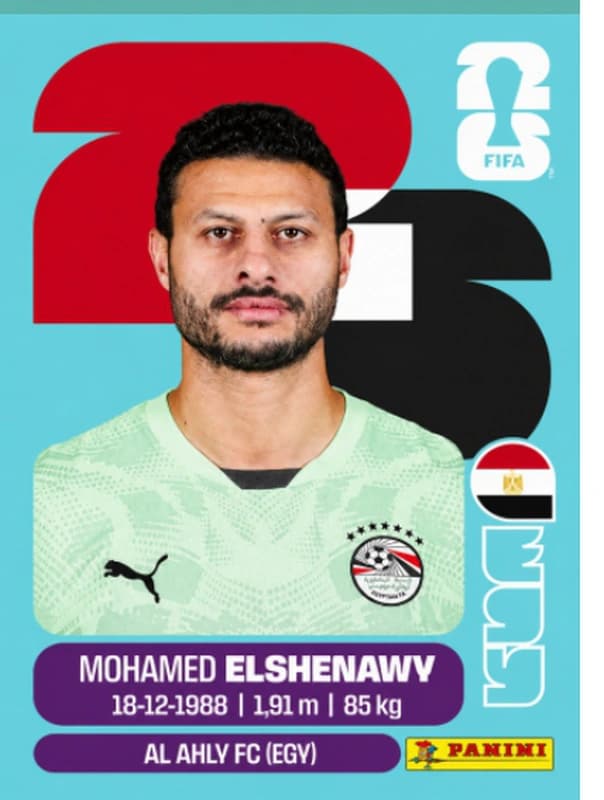 Postal EGY2 Mohamed Elshenawy