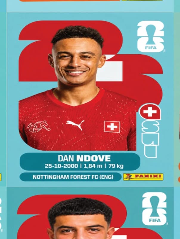 Postal SUI19 Dan Ndove